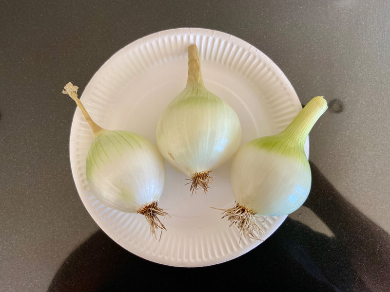 White Onions
John Rainbow