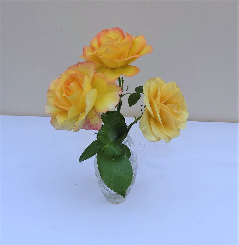 Vase of Yellow Roses
Isabel Daw