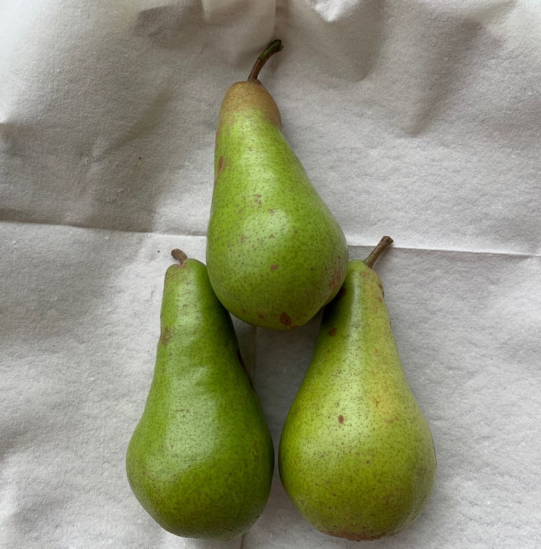 Pears
Stan Taylor
